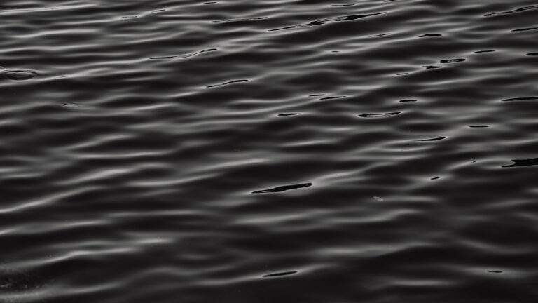 Dark, gently rippling water