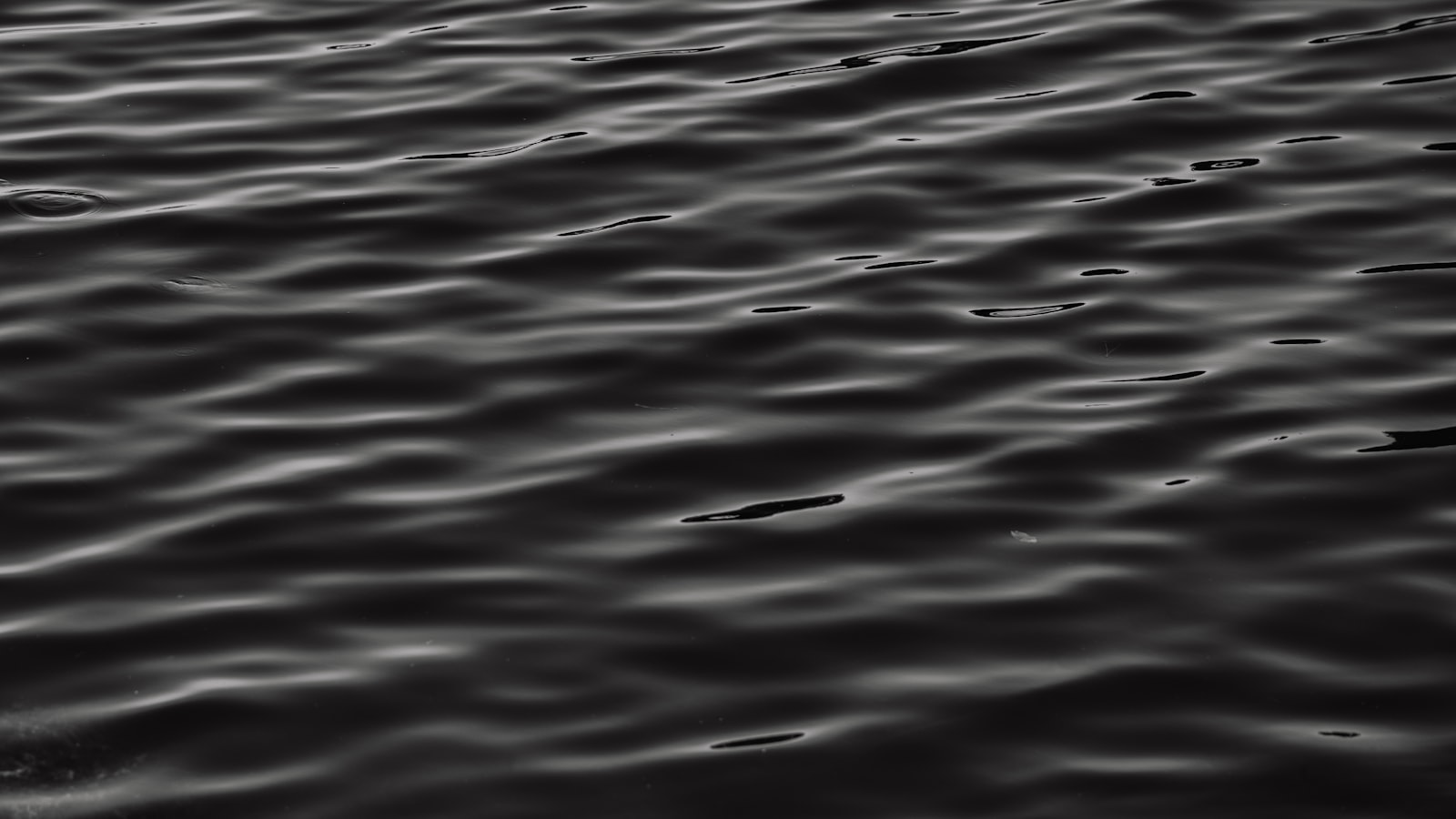 Dark, gently rippling water